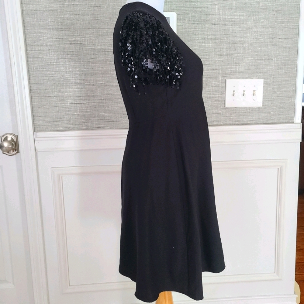 Kate Spade sequin fringe dress - Picture 4 of 6